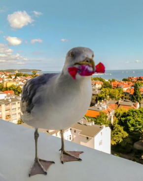 Pokoje przy plaży